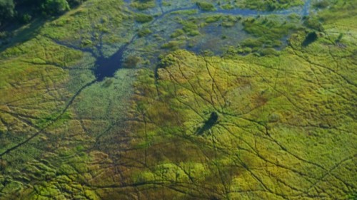 Une petite partie du delta de l'Okavango vue des airs.